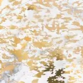 Invisible Gray Liquid Gold