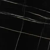 Sahara Noir