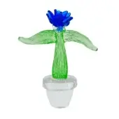 Cactus with blue flower