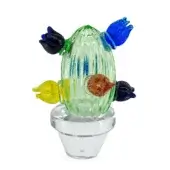 Cactus with multicolor flowers