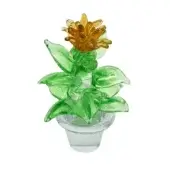 Cactus with topaz flower