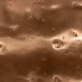 Pigment Coated Glossy Bronze