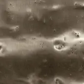 Pigment Coated Glossy Champagne