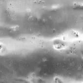 Pigment Coated Glossy Chrome