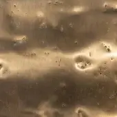 Pigment Coated Glossy Gold