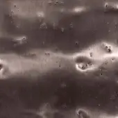 Pigment Coated Glossy Gunmetal