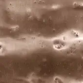 Pigment Coated Glossy Sienna