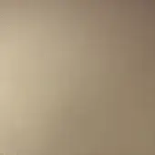 Champagne