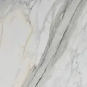 White Calacatta Gold