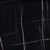 Sahara Noir