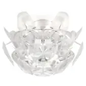 Transparent Polycarbonate - Hope