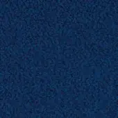 S6G - Bluette
