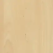Natural Maple