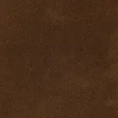 3407-Cocoa