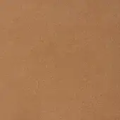 3457-Dune