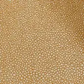 Crema