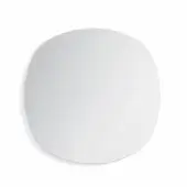 Radius Mirror