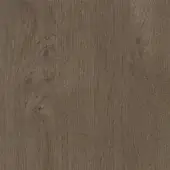 ET2 - Castoro Oak