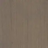 ET3 - Cenere Oak