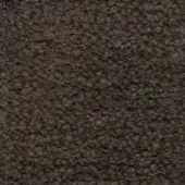 Dallagnese Fabric (Cat. Super) Barnum 10