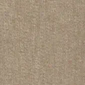 Dallagnese Fabric (Cat. Super) Hylemt 109