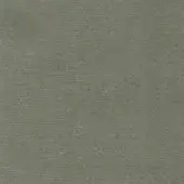 Dallagnese Fabric (Cat. Super) Regal E035
