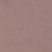 Dallagnese Fabric (Cat. Super) Regal E058