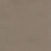 Dallagnese Fabric (Cat. Super) Regal E060