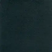 Dallagnese Fabric (Cat. Super) Regal E070