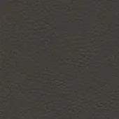 Dallagnese Leather (Cat. Pelle K) K - Prescott IC211