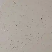 Concrete