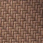 Camoscio