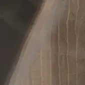 Birch plywood