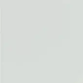 RAL 7035 Ice White