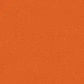 Burnt Orange