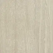 Tortora - S49