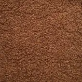 F32 NPL col 1842 - Ambre