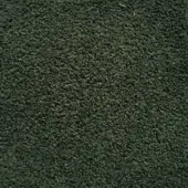 F33 NPL col 2040 - Vert Sapin