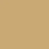 Gold Painted