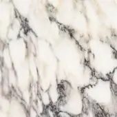 Breccia Capraia - MAR06