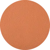 P - EN22010 Faux-Leather