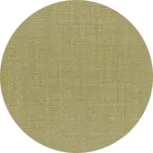 PR231 - Trevira Green