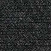 Iron