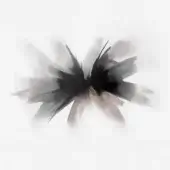 25011-1