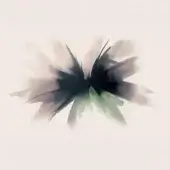 25011-2