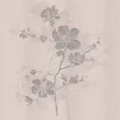 25034-2