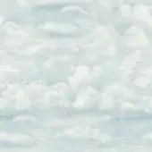 18027-01