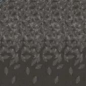 16037-01