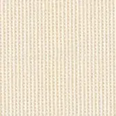 37-Cream