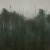 Ghostforrest - WDGF2502